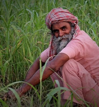 Fodder Development Programme