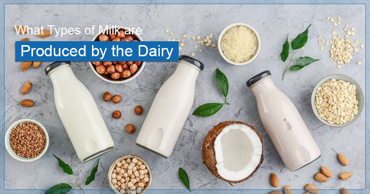 What Types of Milk are produced by the Dairy?