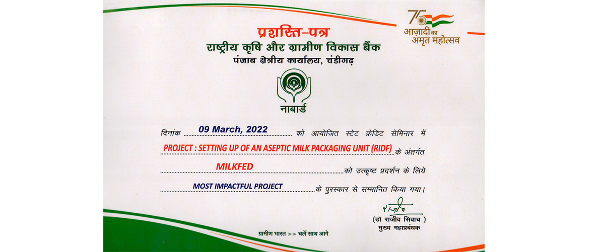 Award for Most Impactful Project